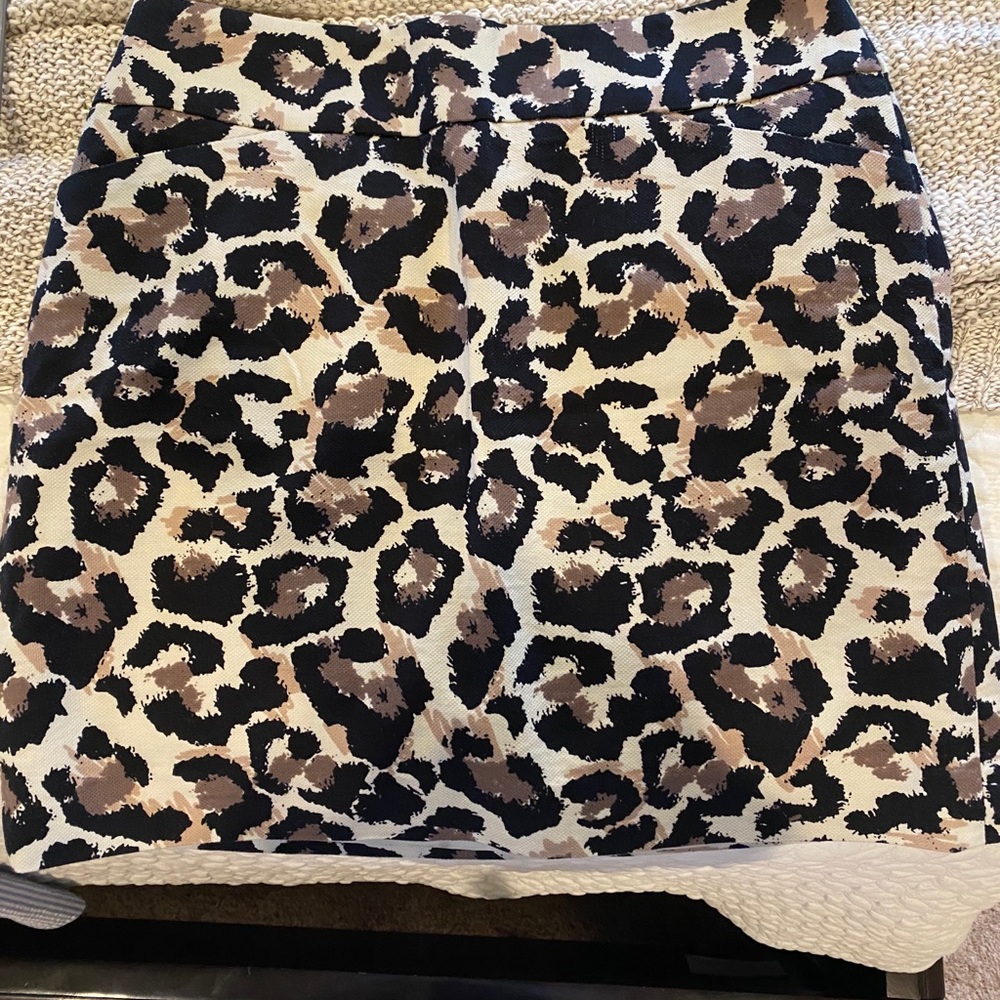 Ann Taylor LOFT skirt